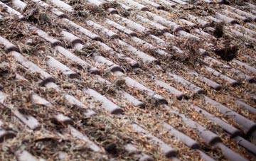 Blackford roof cleaning companies