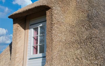 Blackford thatch roof disadvantages